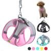 Adjustable Dog Harness and Leash Set for Small Dogs and Cats