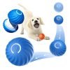 Electronic Interactive Dog Toy Ball
