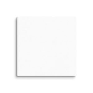 Customizable Canvas (in)
