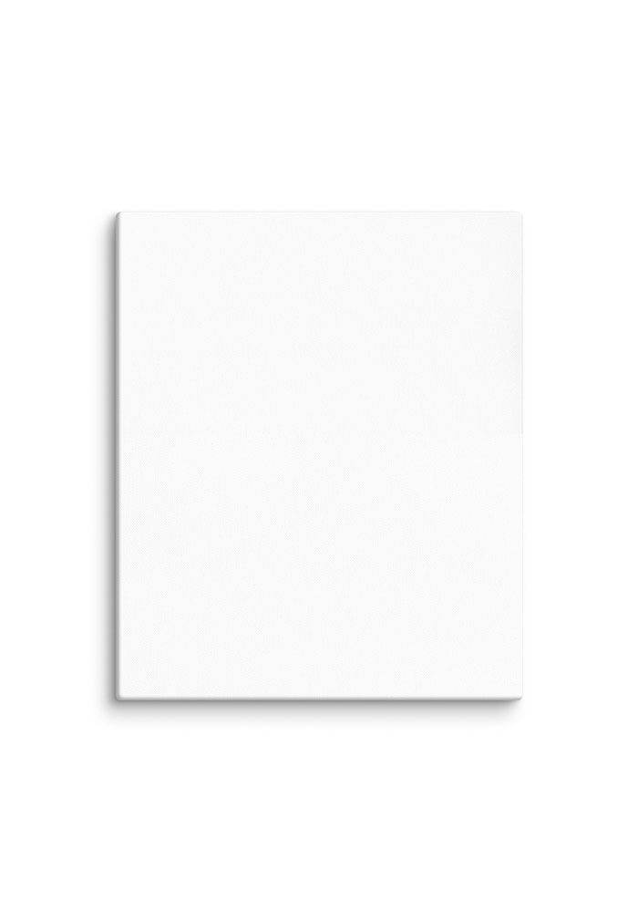 20″×24″