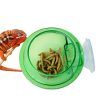 Arboreal Reptile Suction Feeder Bowl
